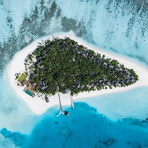 Angsana Velavaru - Book Now Enjoy 10 To 20 Percent Off Seaplane For Stay During May 6Th To Sep 30Th 2025